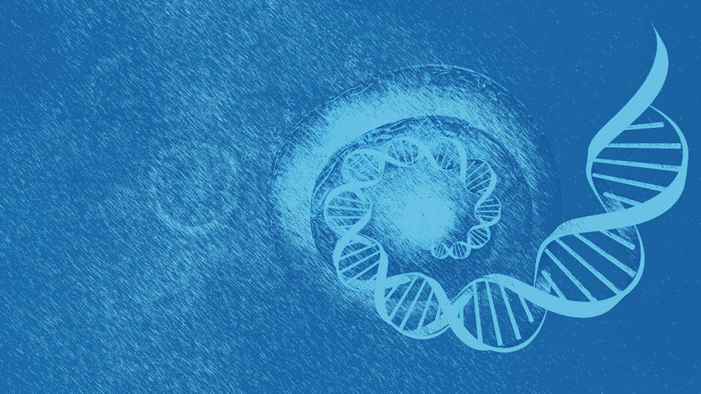 Cells and Genomes